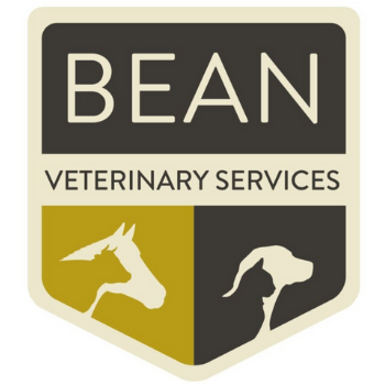 Veterinary and Pets